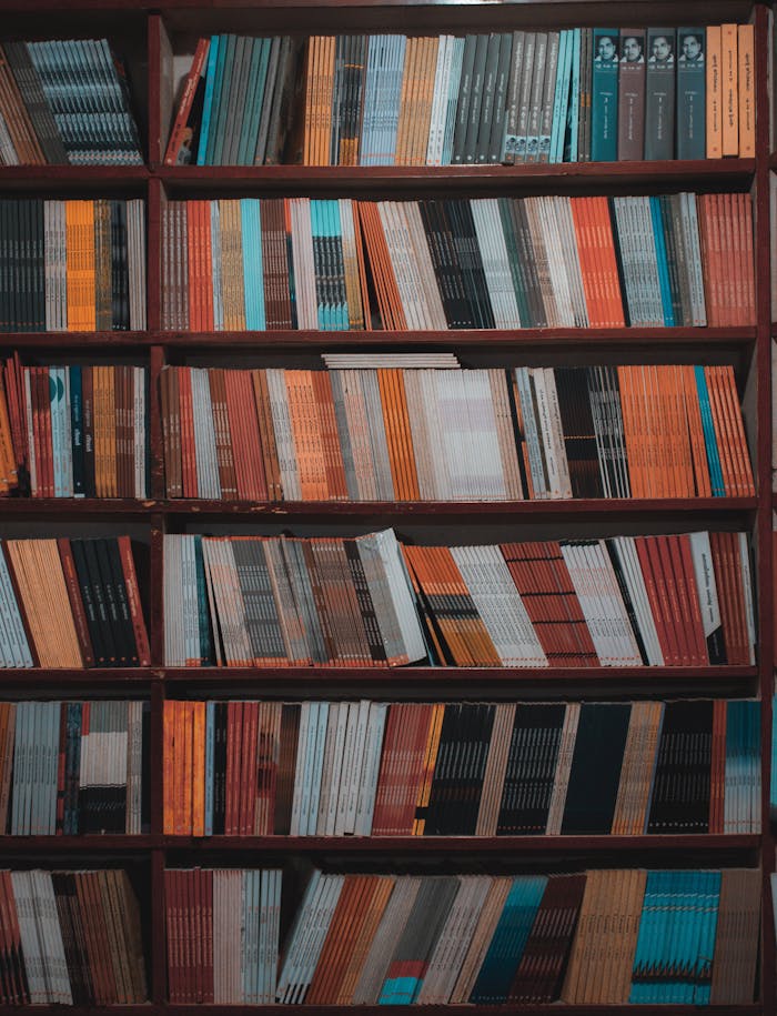 services-02 Vibrant library bookshelf filled with a diverse collection of books in a vertical arrangement.